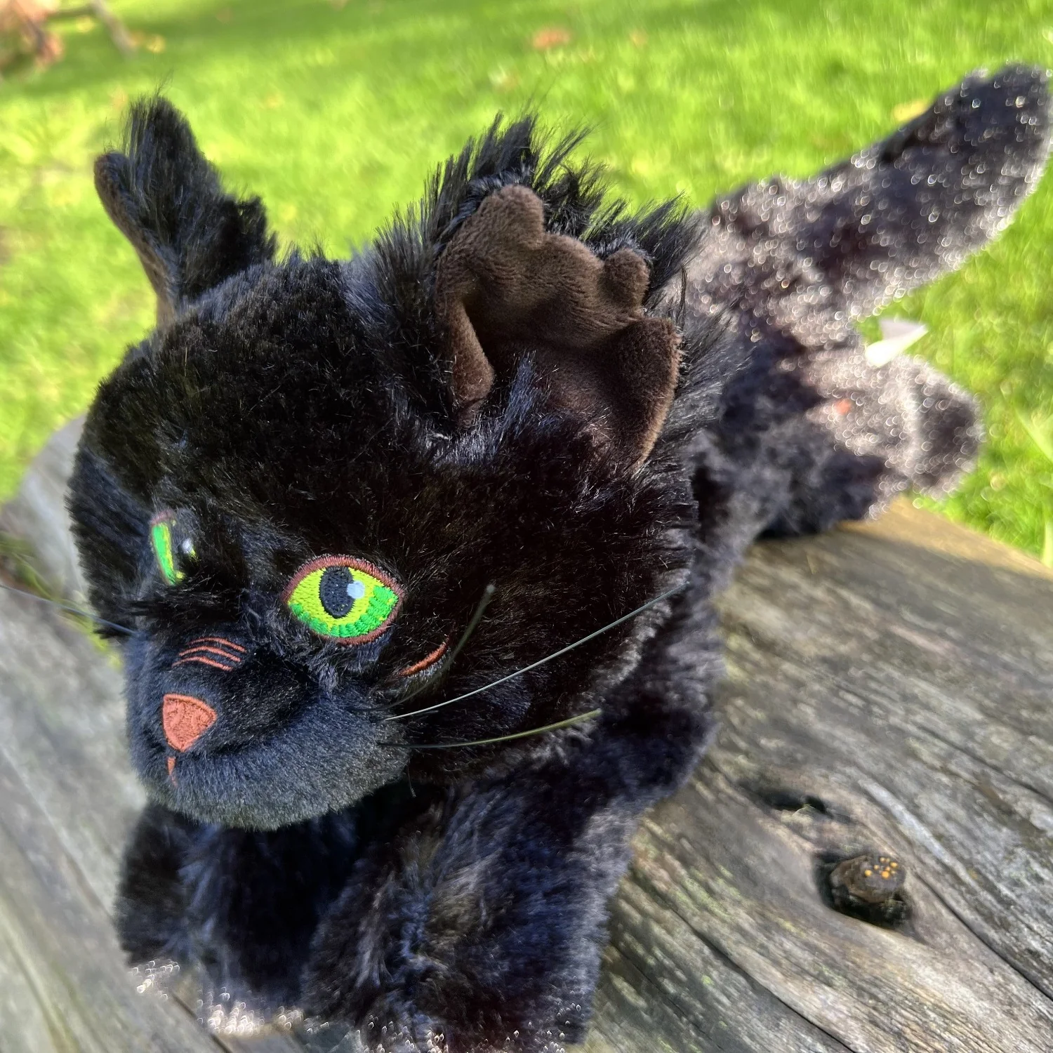 Hollyleaf Large Plush Cat - Image 3