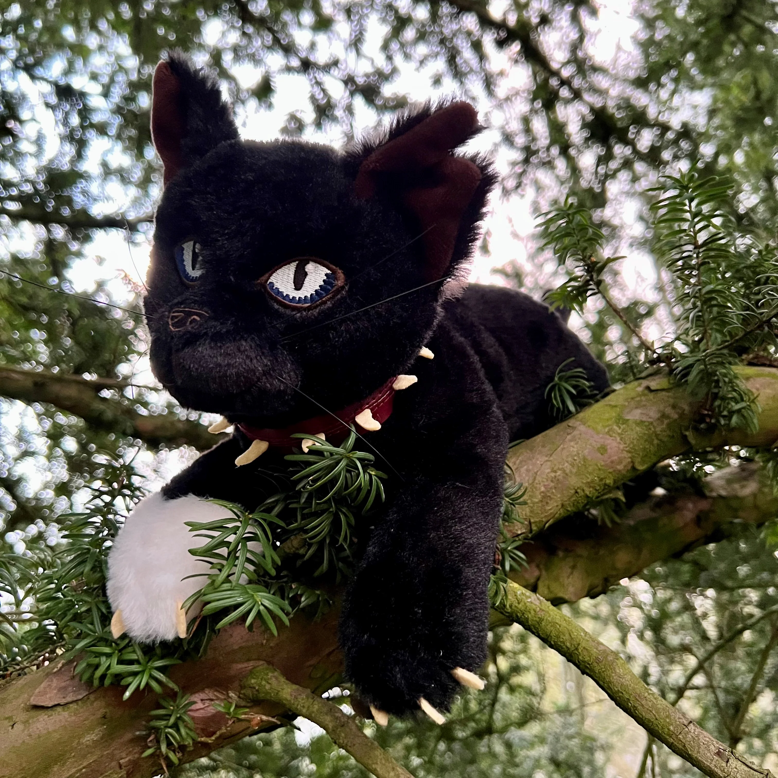 Scourge Large Plush Cat - Image 4